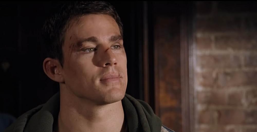 アルティメット・ファイターの画像