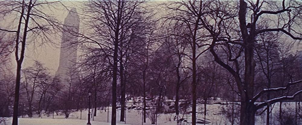 めぐり逢いの画像