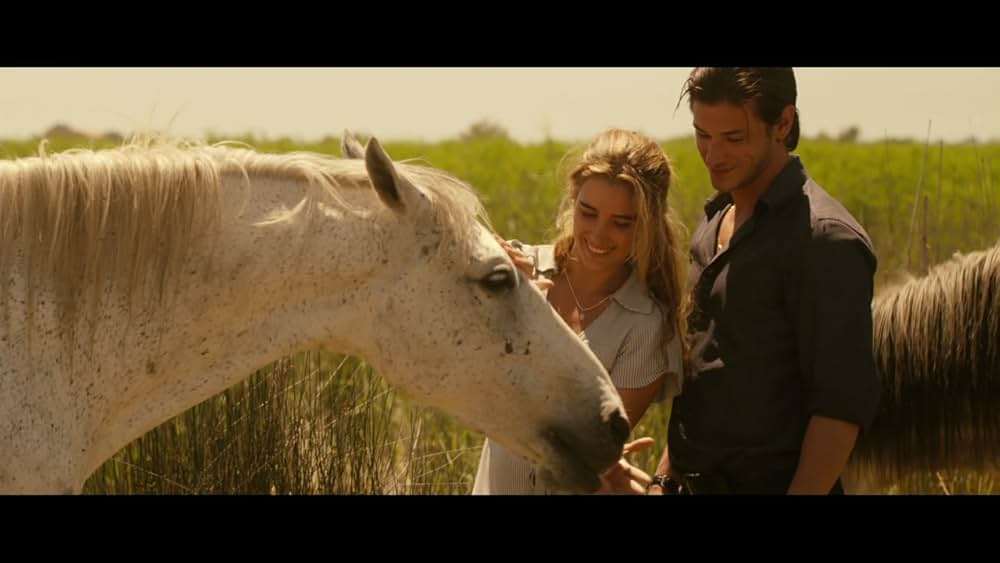 インサイドゲームの画像