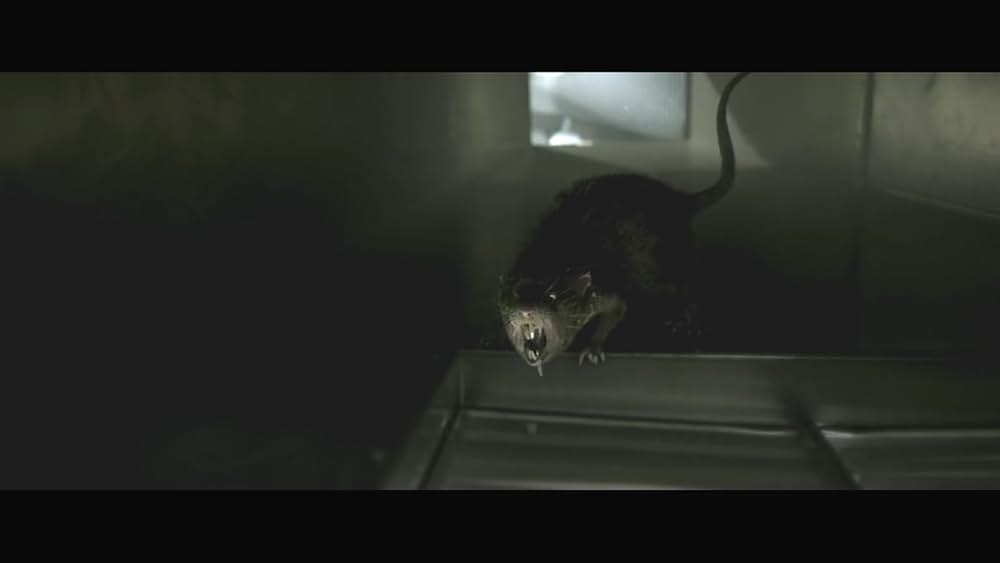 インフェクテッドZの画像