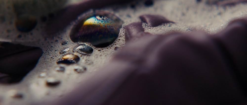 バーガンディー公爵の画像