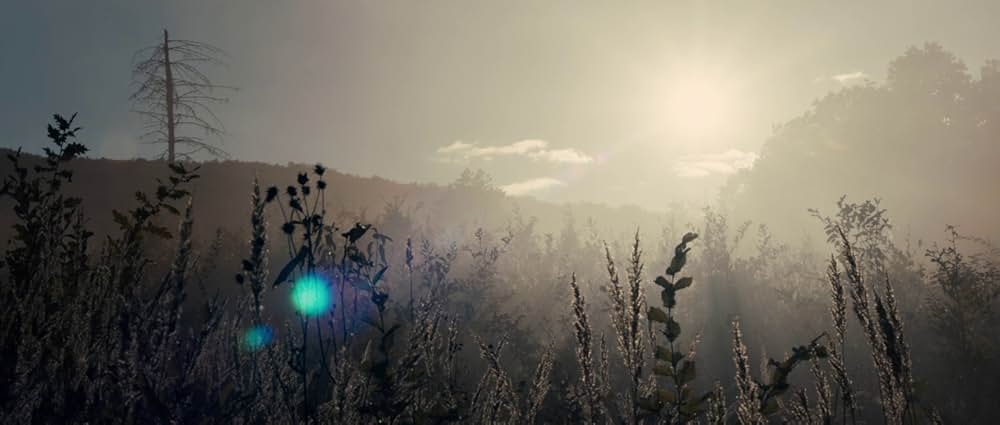 バーガンディー公爵の画像