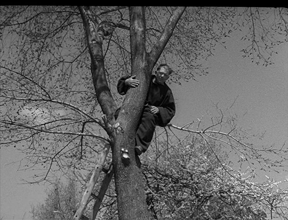 青春群像の画像