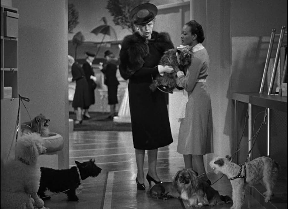 女性たち／女たちの画像