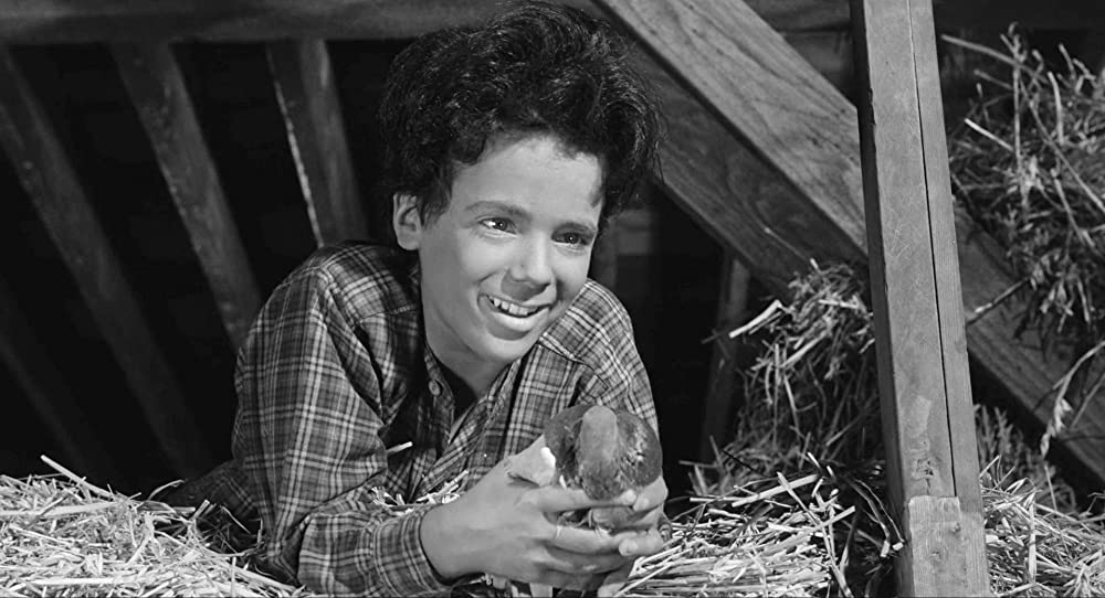 胸に輝く星の画像