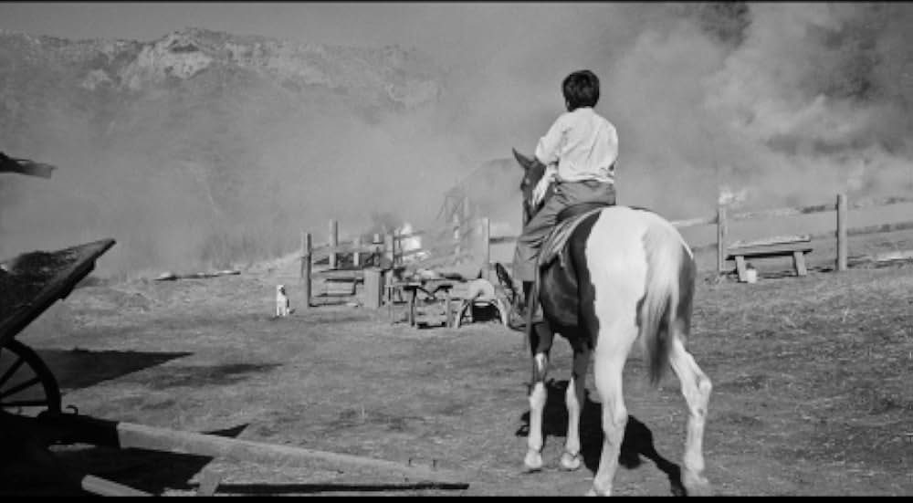 胸に輝く星の画像