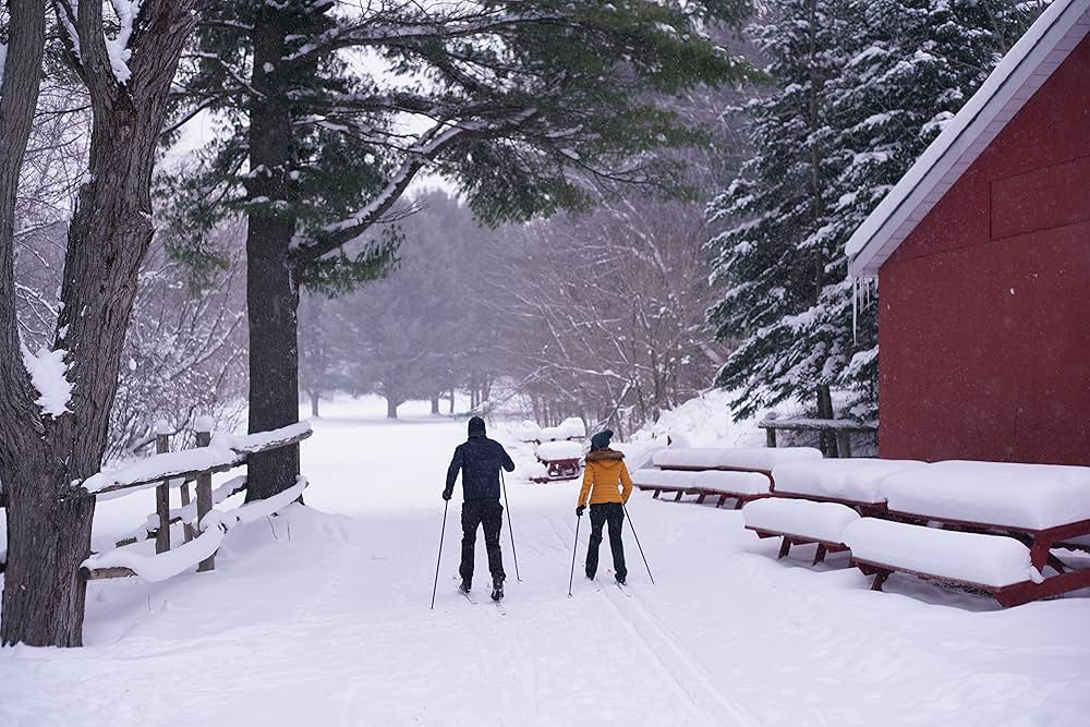 聖夜の贈り物の画像