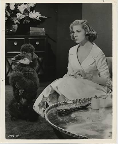 バラの肌着の画像