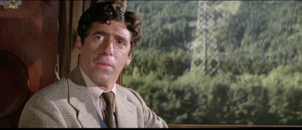 レディ・バニッシュ／暗号を歌う女の画像