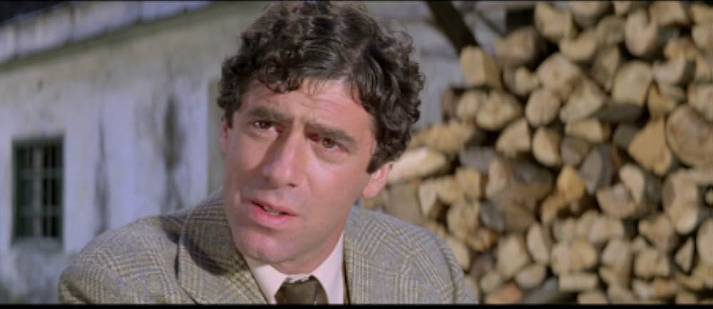 レディ・バニッシュ／暗号を歌う女の画像