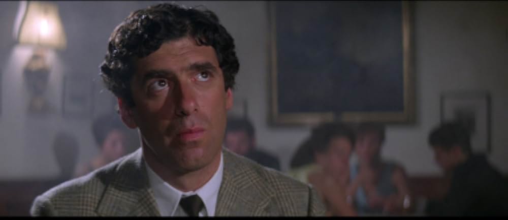 レディ・バニッシュ／暗号を歌う女の画像