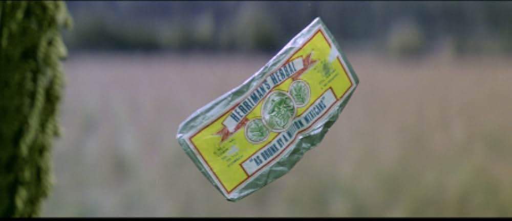 レディ・バニッシュ／暗号を歌う女の画像