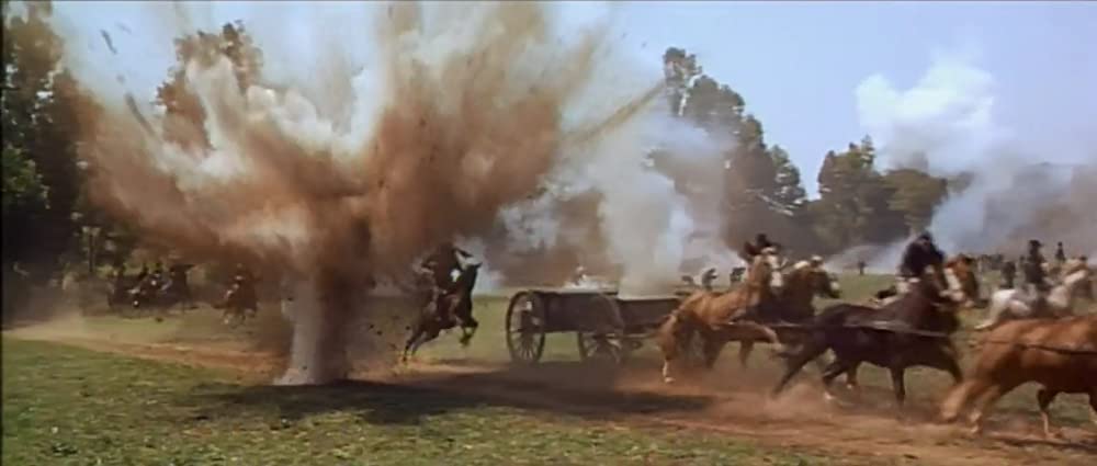 愛情の花咲く樹の画像