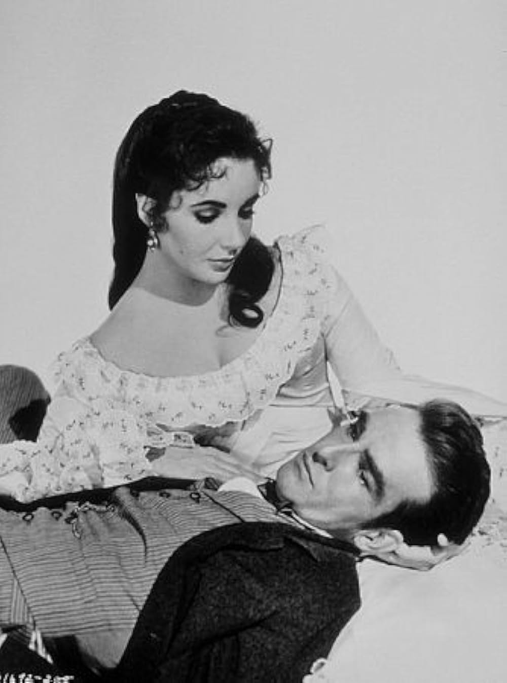 愛情の花咲く樹の画像