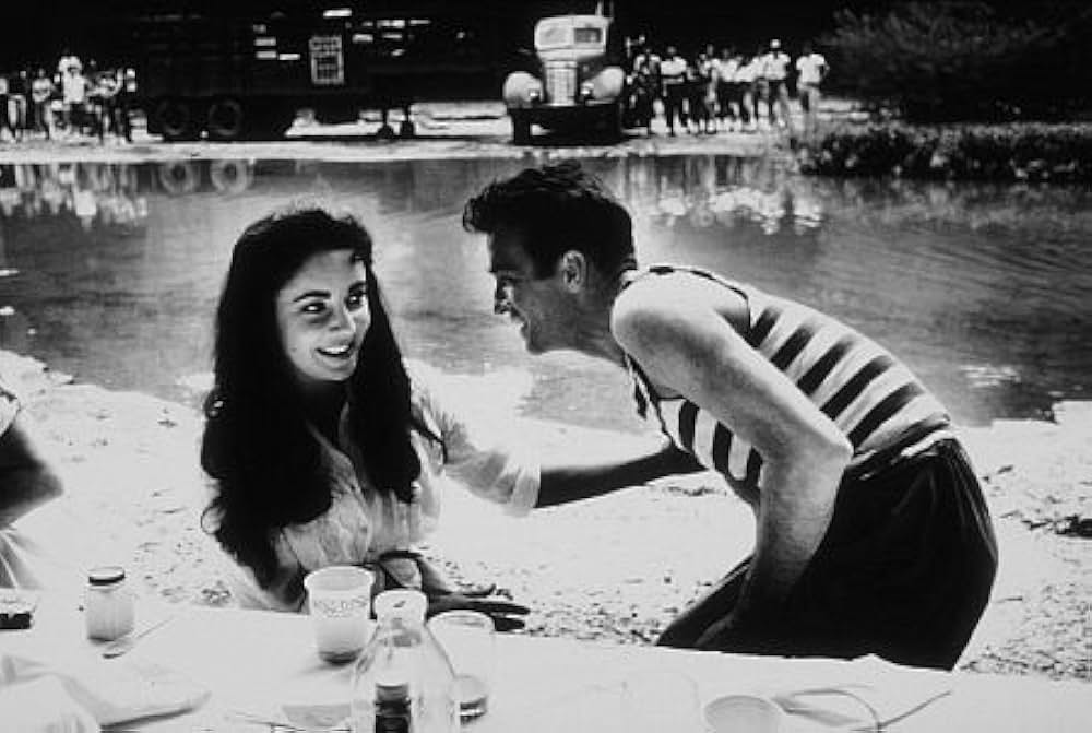 愛情の花咲く樹の画像