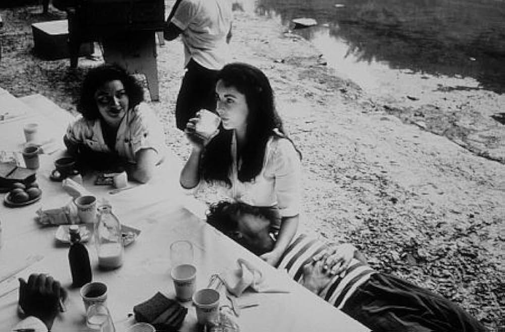 愛情の花咲く樹の画像