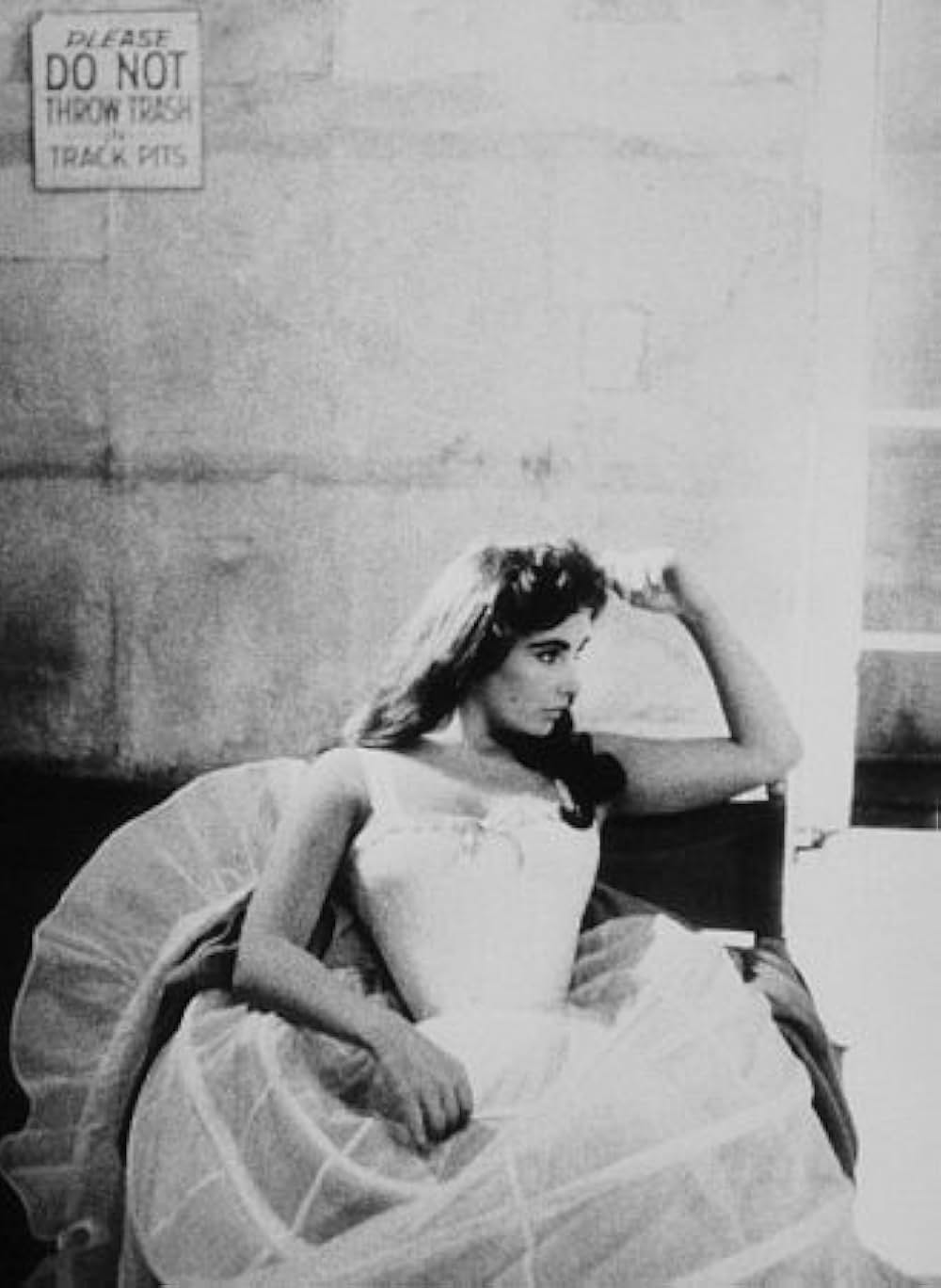 愛情の花咲く樹の画像