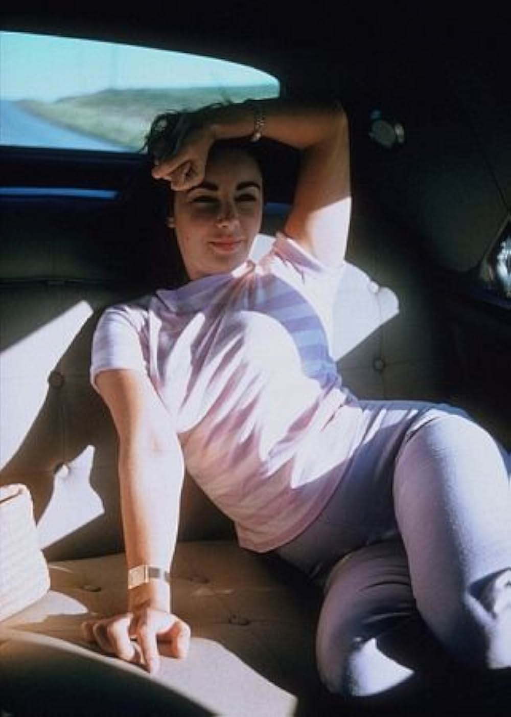 愛情の花咲く樹の画像