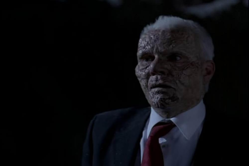 フライショックの画像