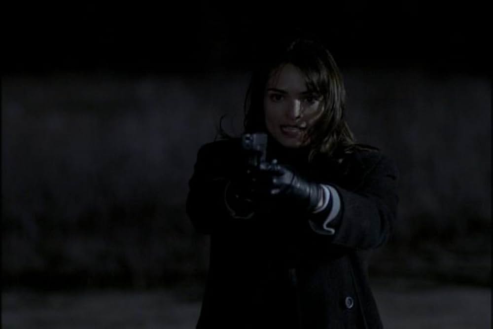 フライショックの画像