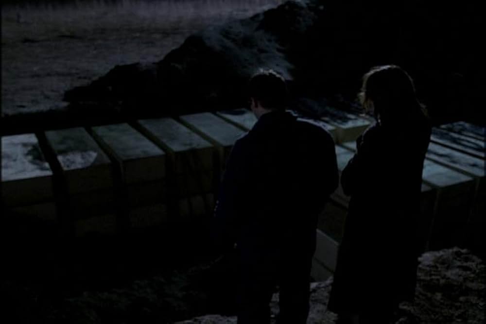 フライショックの画像