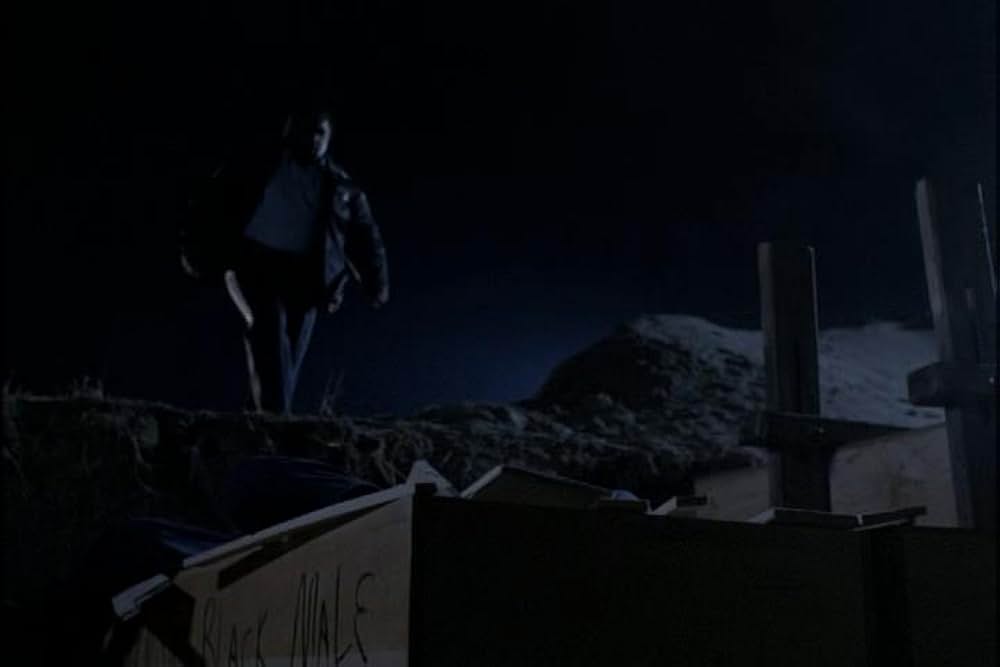 フライショックの画像