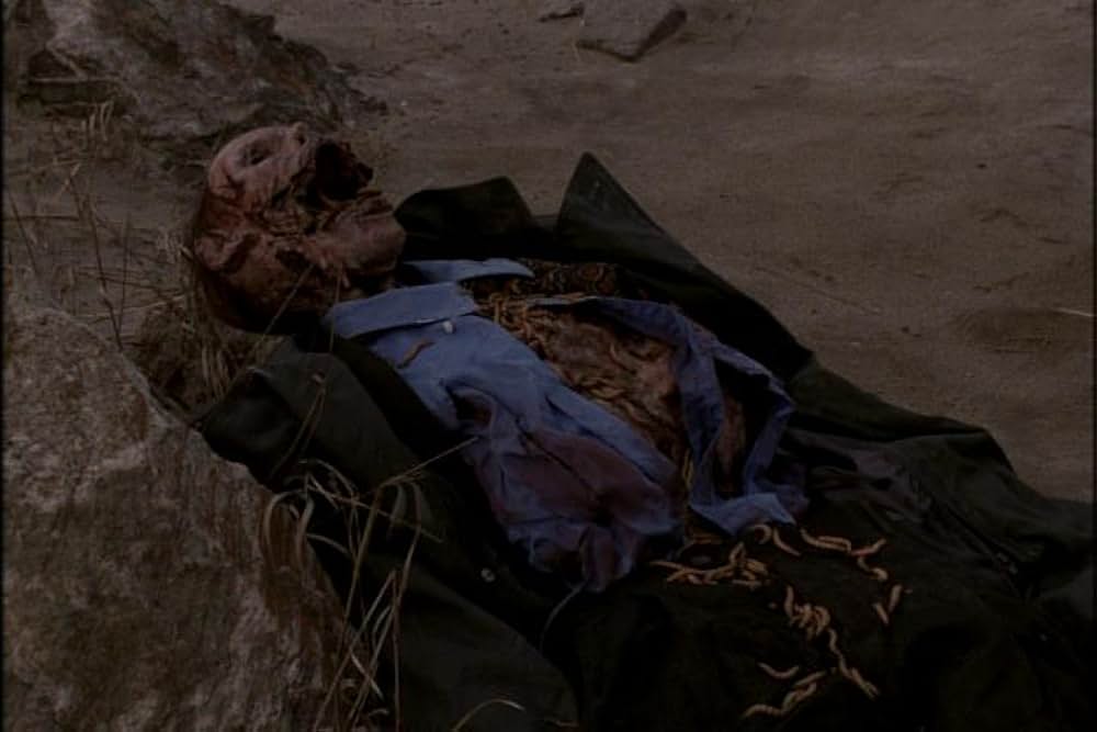 フライショックの画像