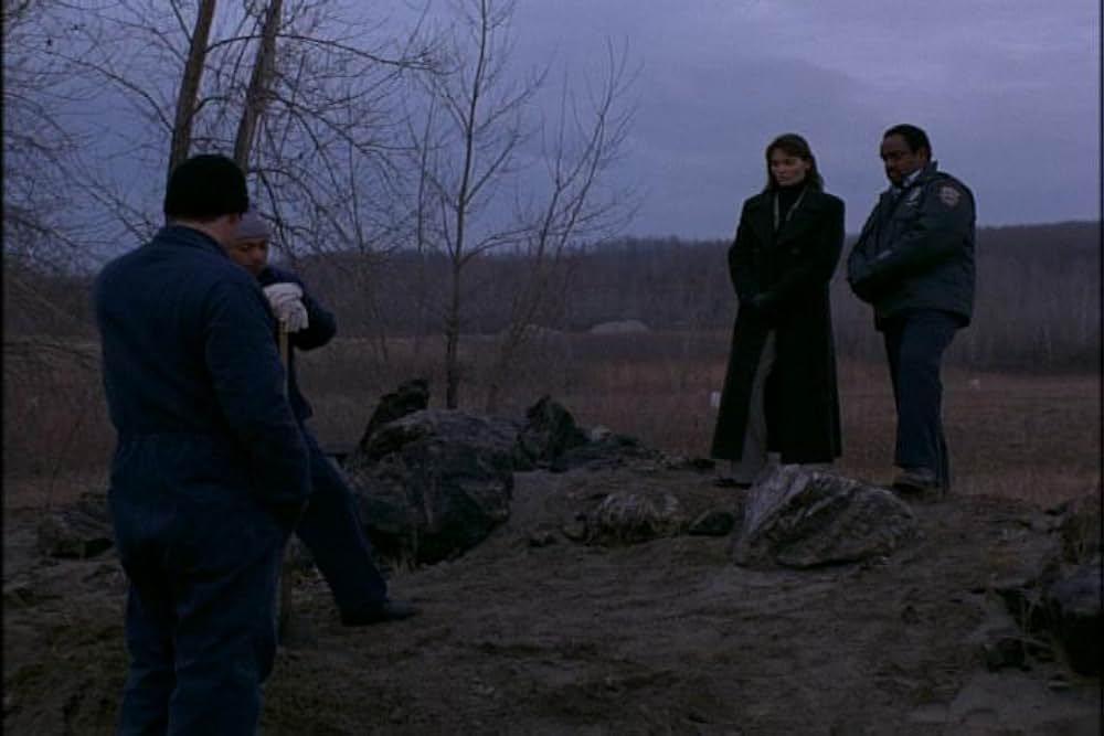 フライショックの画像