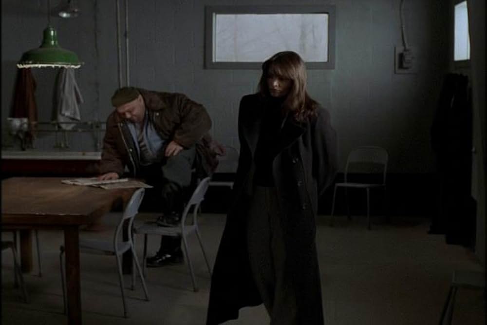 フライショックの画像