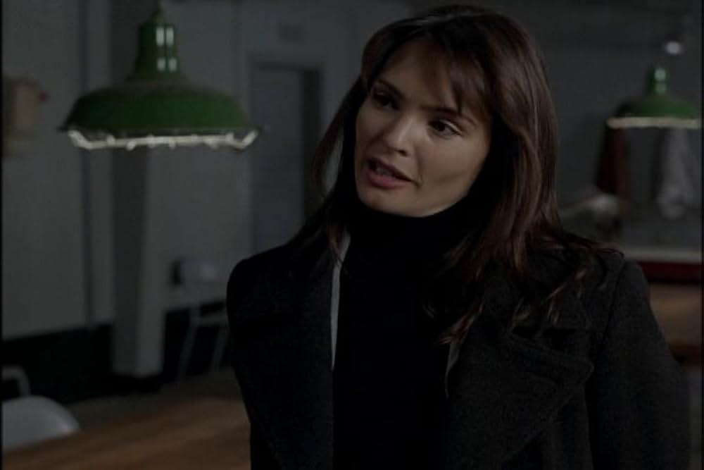 フライショックの画像