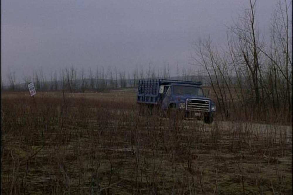 フライショックの画像