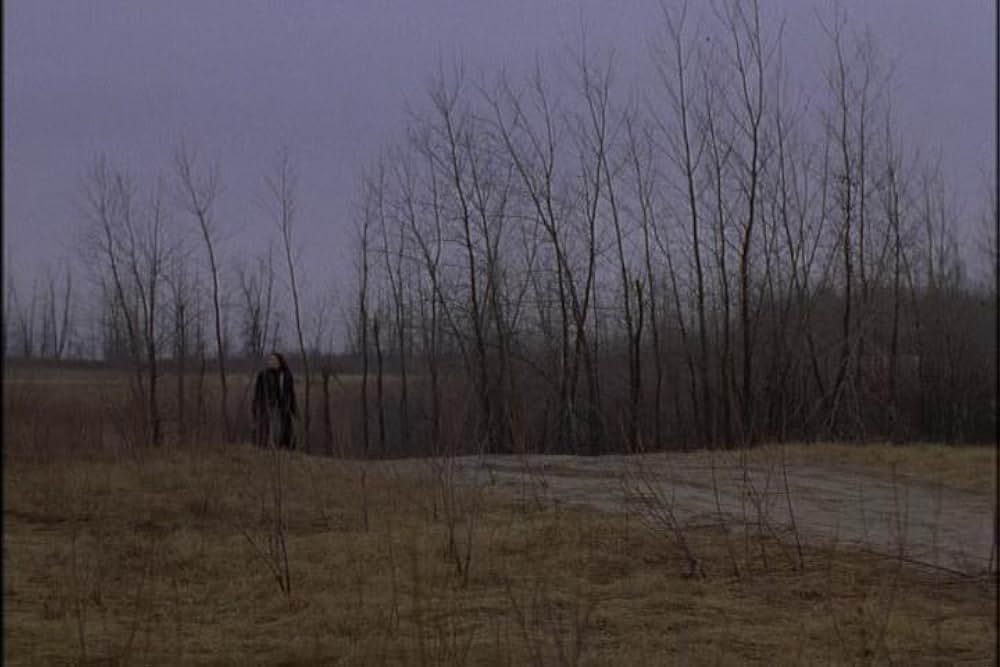 フライショックの画像