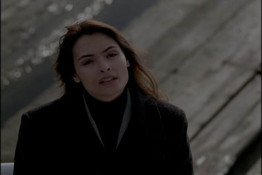 フライショックの画像