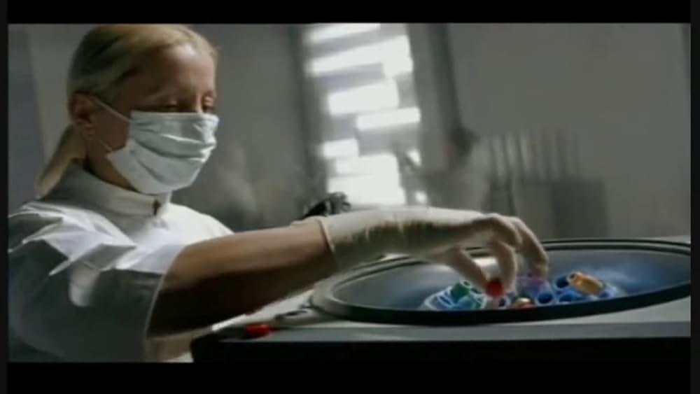 エヴァンジェリスタの画像