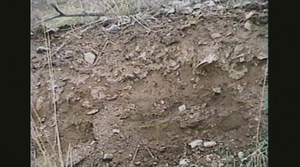 ドン・ヴァーディーンの画像