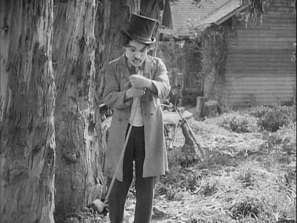 メーベルの身替り運転の画像