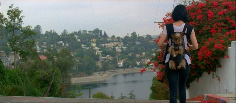 L!fe Happens(原題)の画像