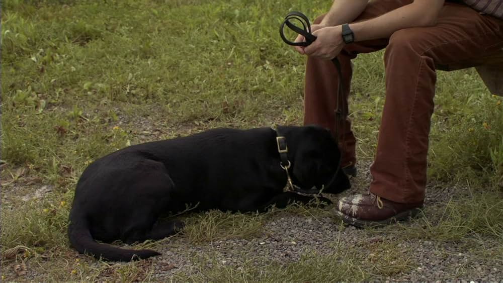 ザ・ケイク・イーターズ（原題）の画像