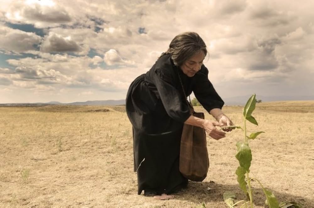 ウルティマ、ぼくに大地の教えをの画像