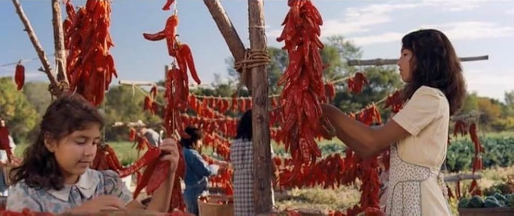 ウルティマ、ぼくに大地の教えをの画像