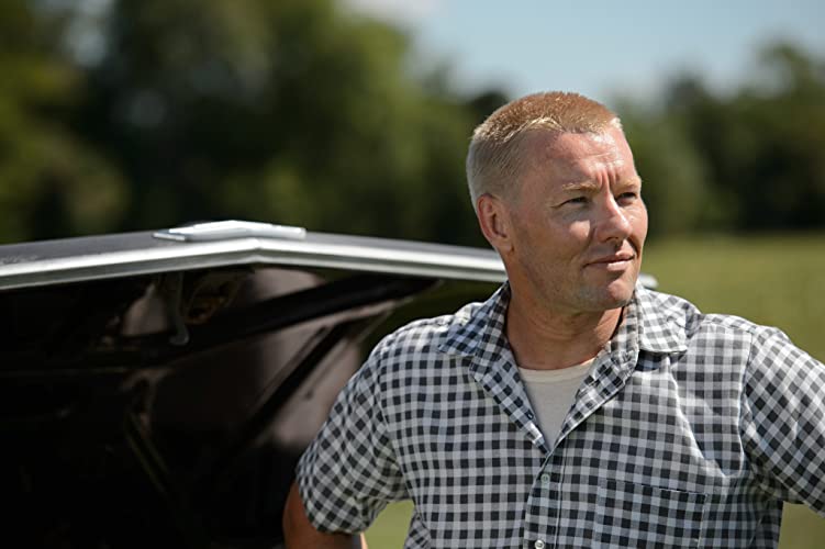 ラビング 愛という名前のふたりの画像