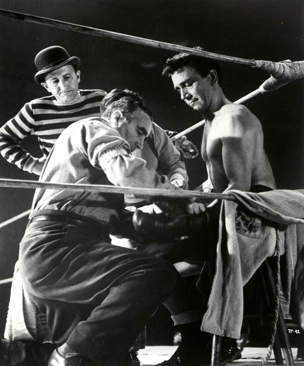 ファイターの画像