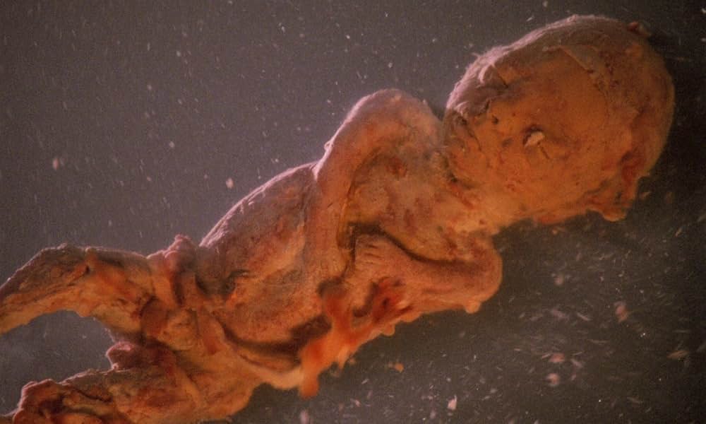 デモンズ6／最終戦争の画像