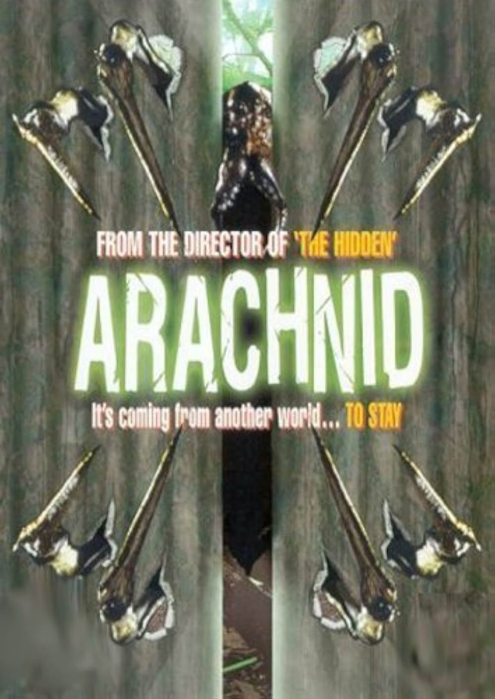 アラクニッドの画像