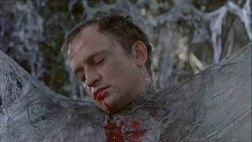 アラクニッドの画像