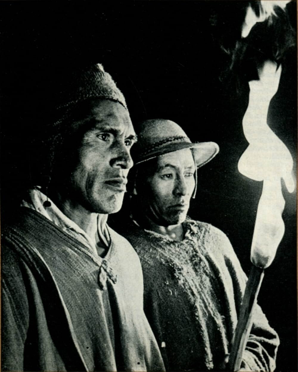 コンドルの血の画像