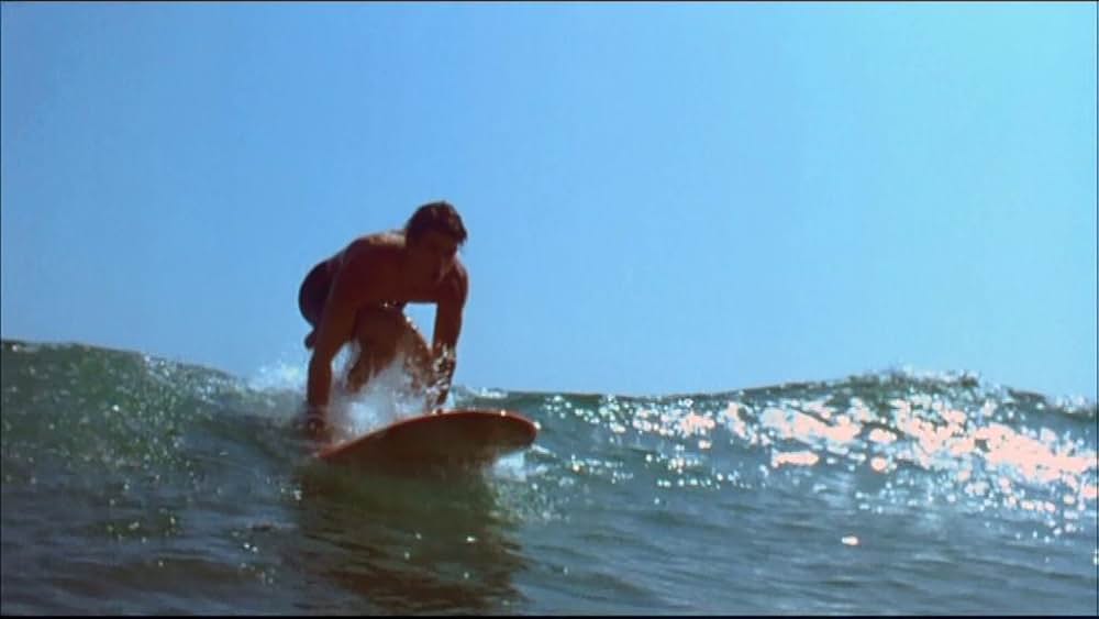 サーフ・アカデミー 恋のマヒマヒ・ダンシングの画像