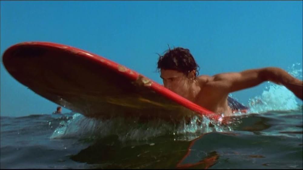 サーフ・アカデミー 恋のマヒマヒ・ダンシングの画像