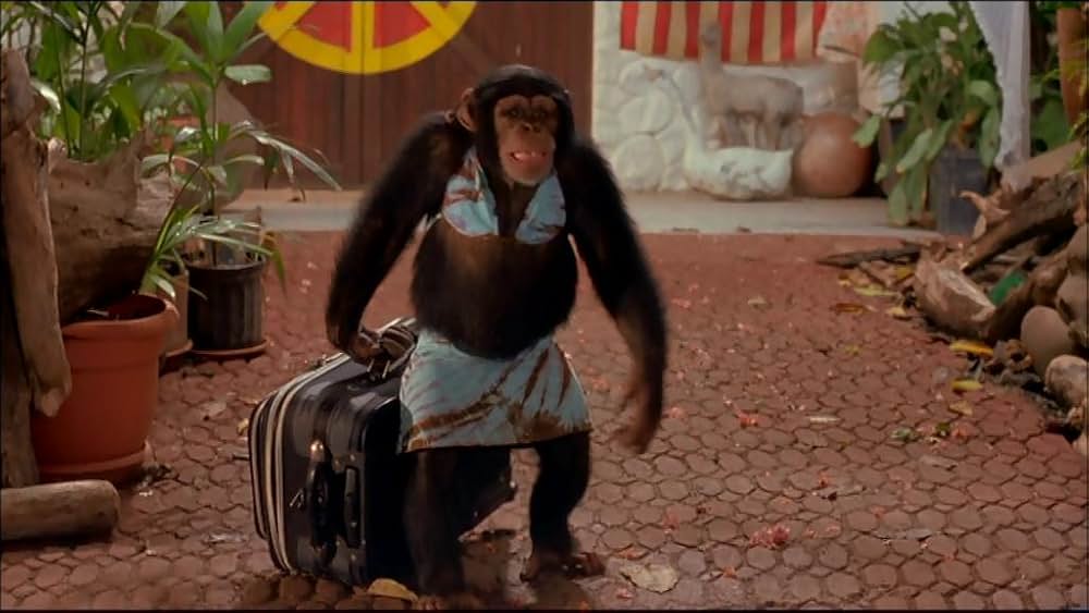 サーフ・アカデミー 恋のマヒマヒ・ダンシングの画像