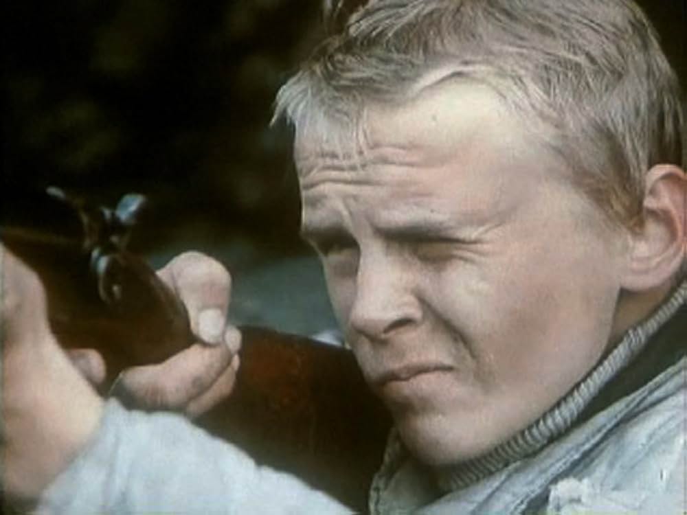 海に出た夏の旅の画像